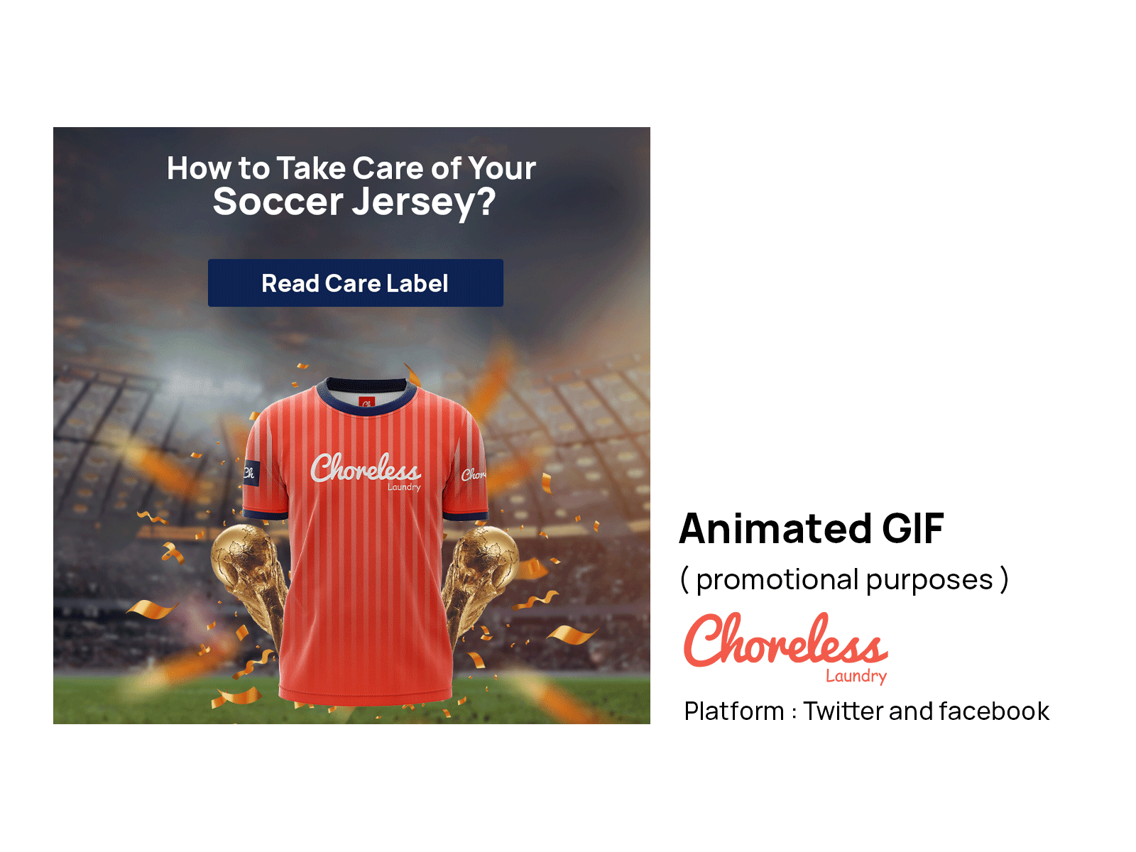 Choreless Laundry — Social Campaign — Laundry & Home Services in Seattle, USA