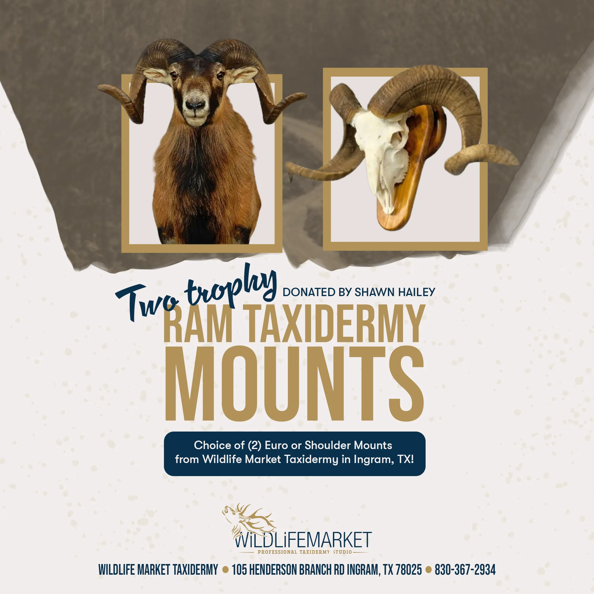Wildlife Market Taxidermy — Social Post — Taxidermy & Outdoor Sports in Ingram, TX, USA